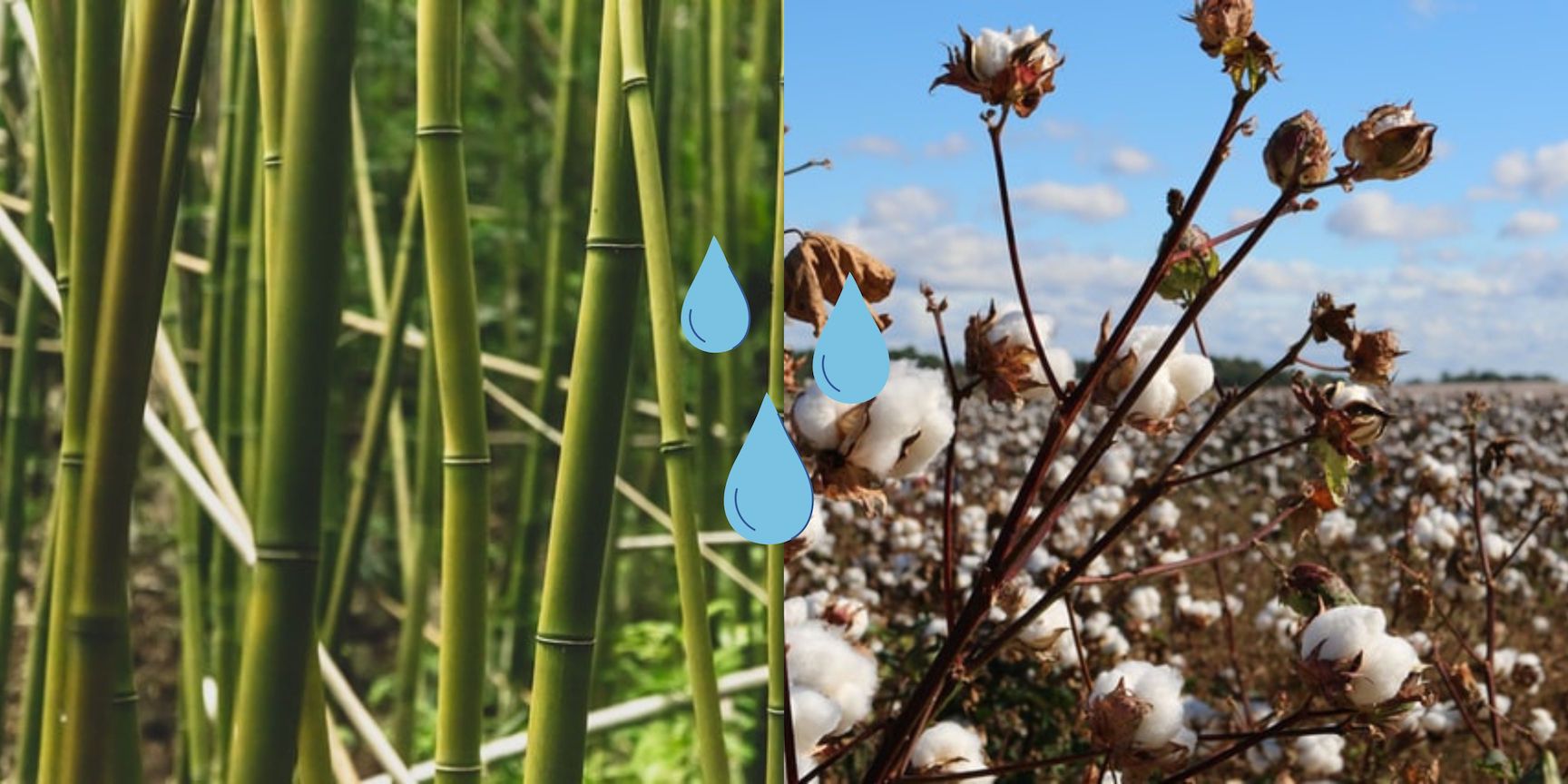 Besparen op water? Ga voor Bamboe sokken!